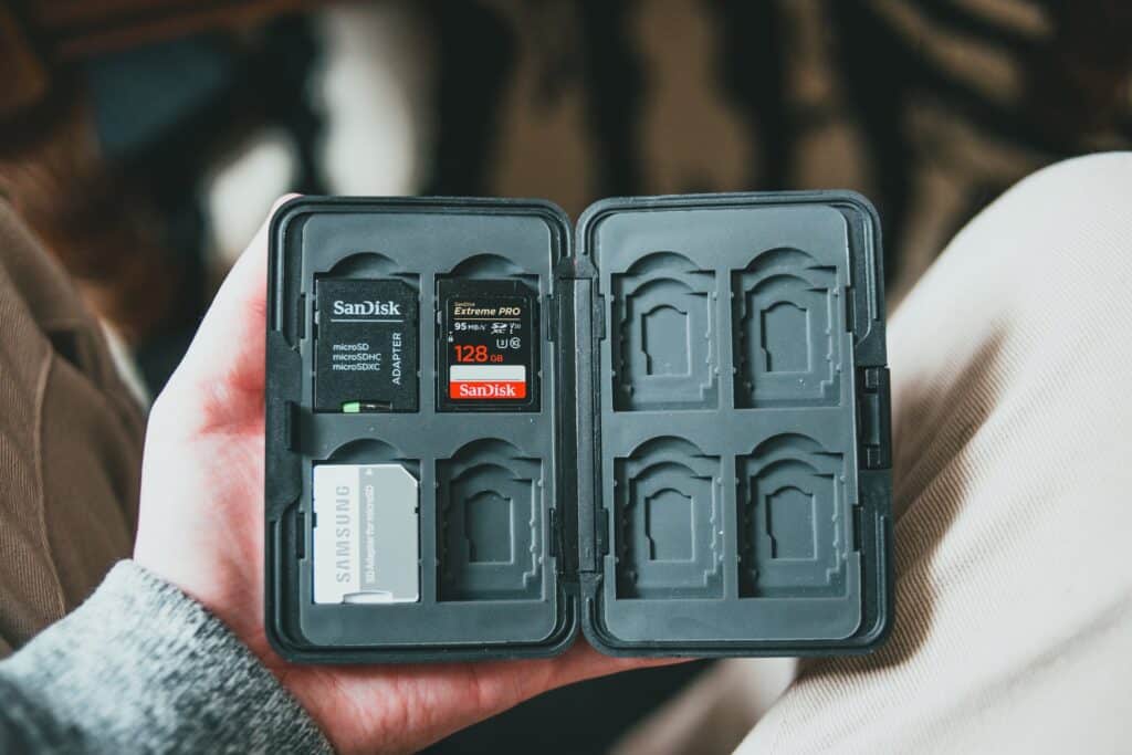 SD cards and case